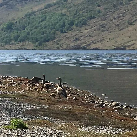 Beckfoot Retreat Ennerdale Bridge