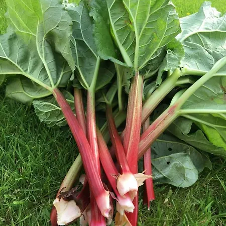 Beckfoot Retreat Bed & Breakfast Ennerdale Bridge